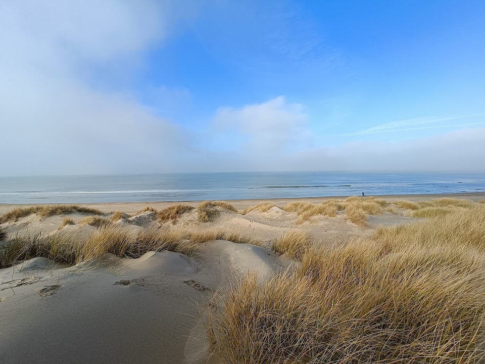 Duinbossen De Haan - Wenduine