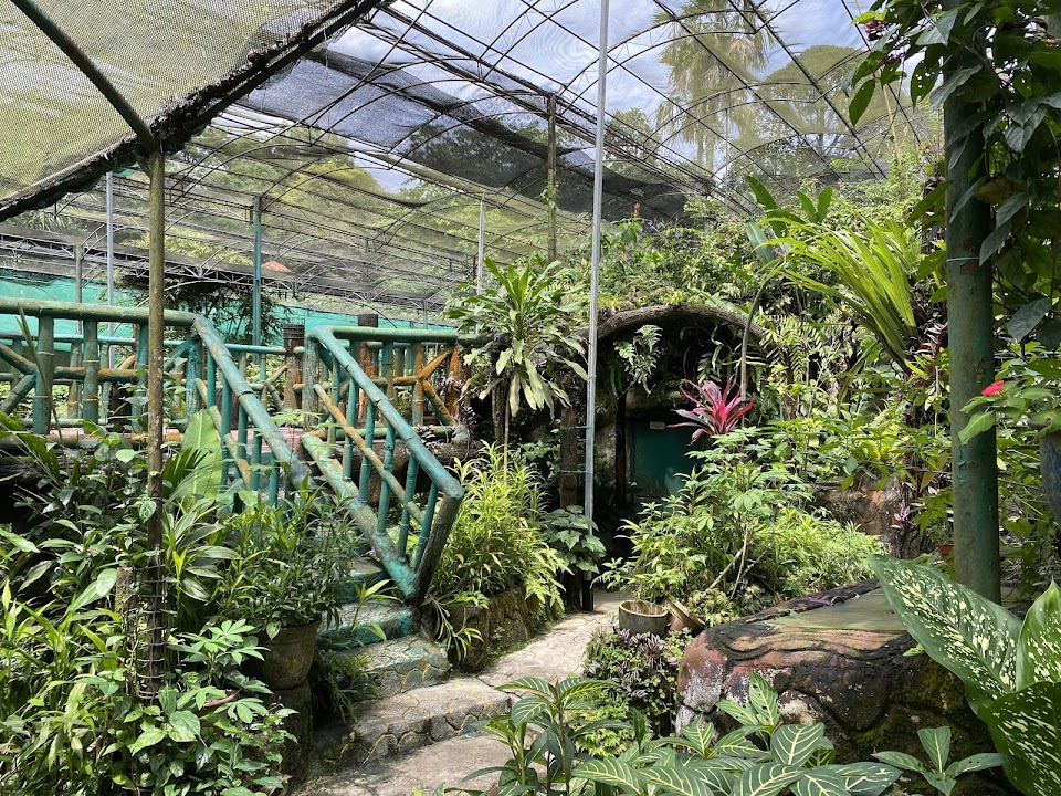 Kuala Lumpur Butterfly Park