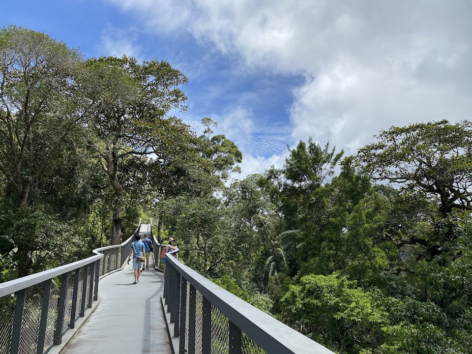 Langur Way Canopy Walk