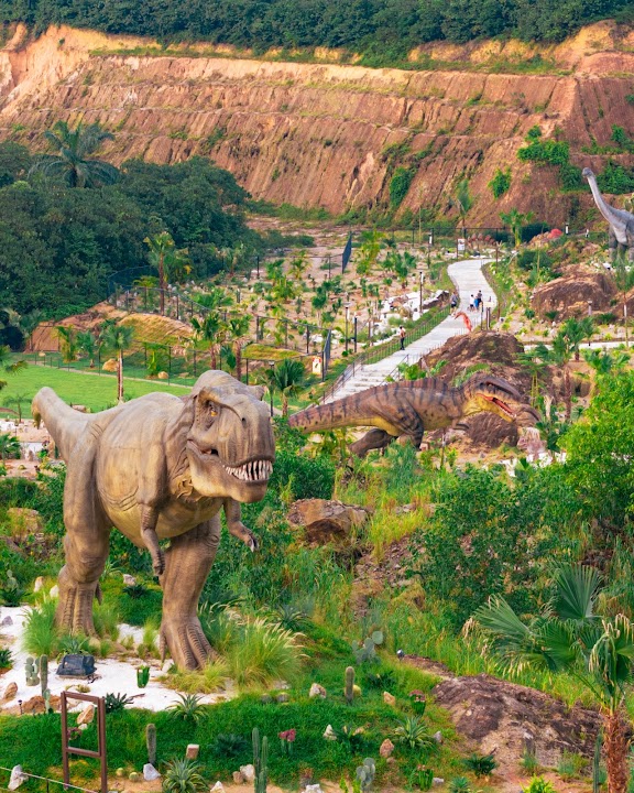 Dino Desert