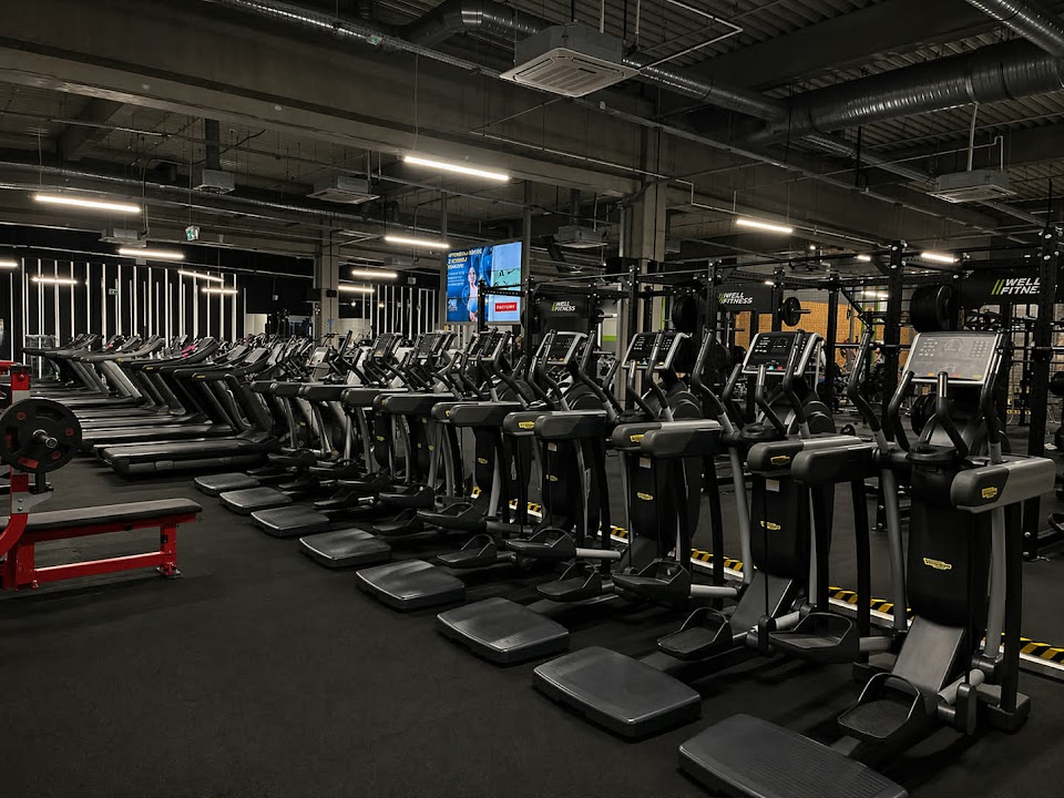 Well Fitness - Kraków, Bratysławska