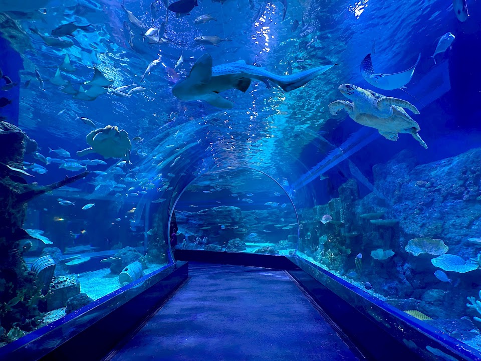 BXSea Oceanarium
