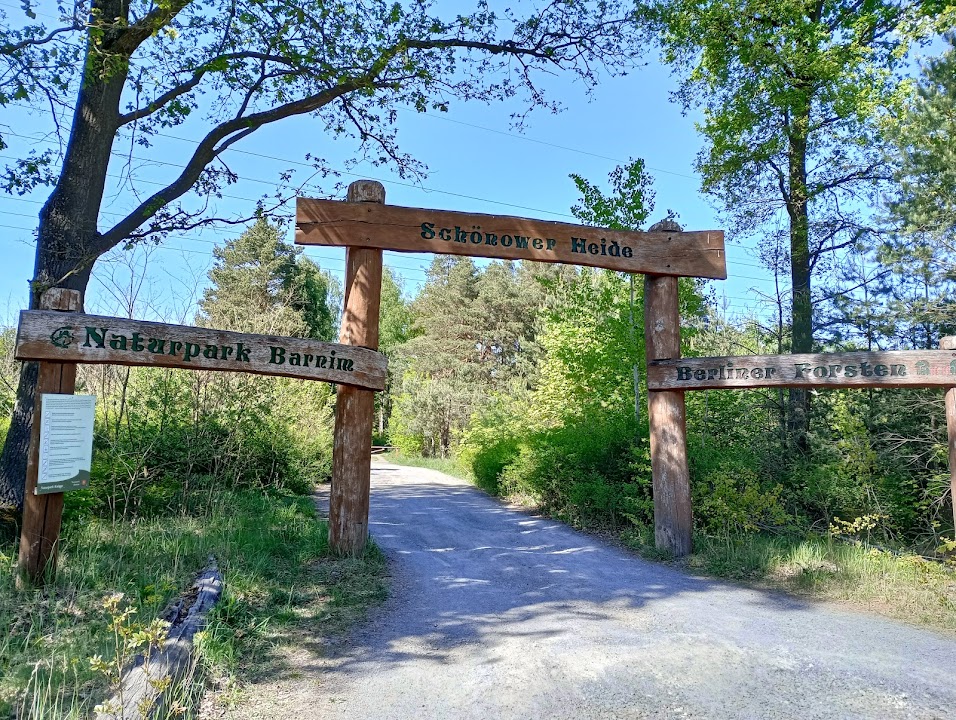 Schönow Heath