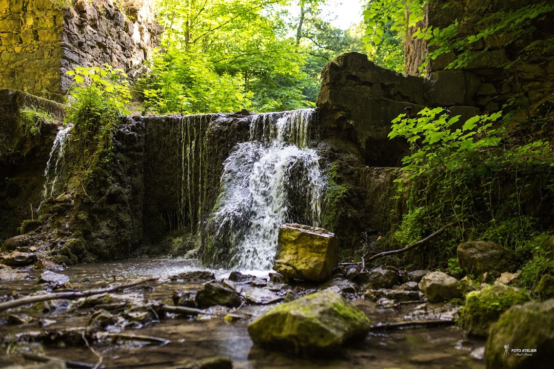 Nature reserve Valley Eliaszówka