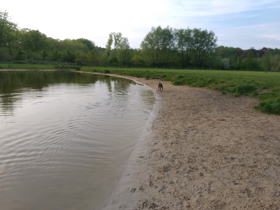 Hondenweide Ryckevelde