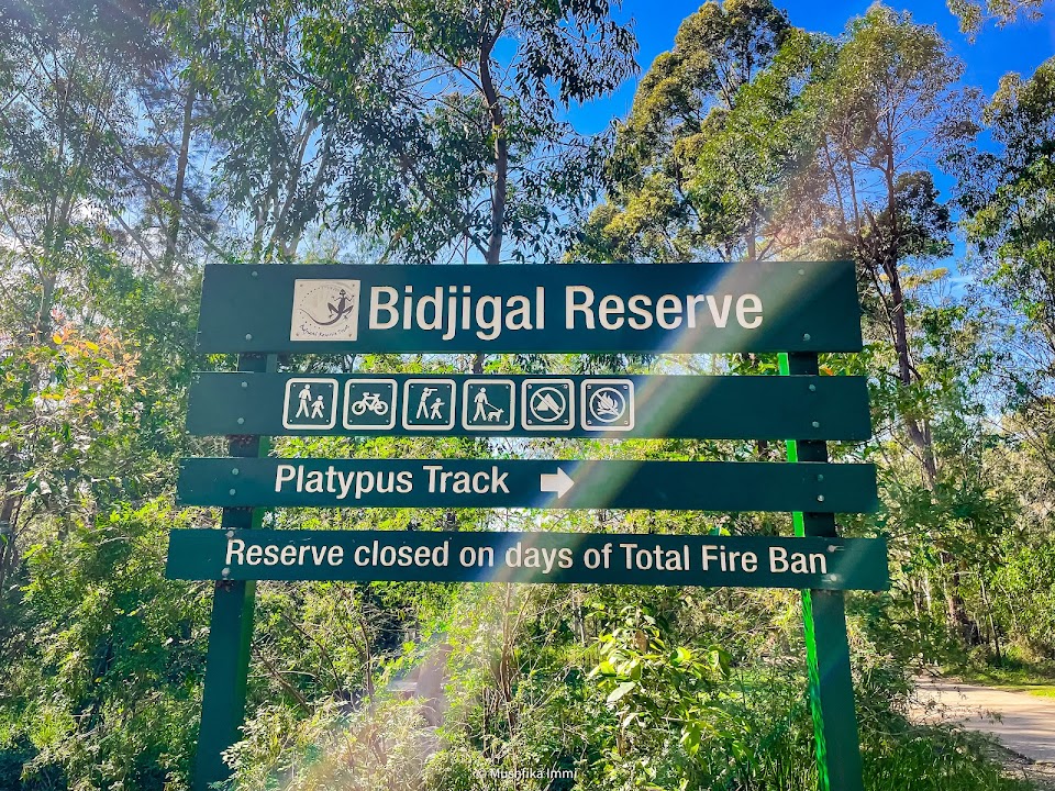 Bidjigal Reserve - Platypus Track