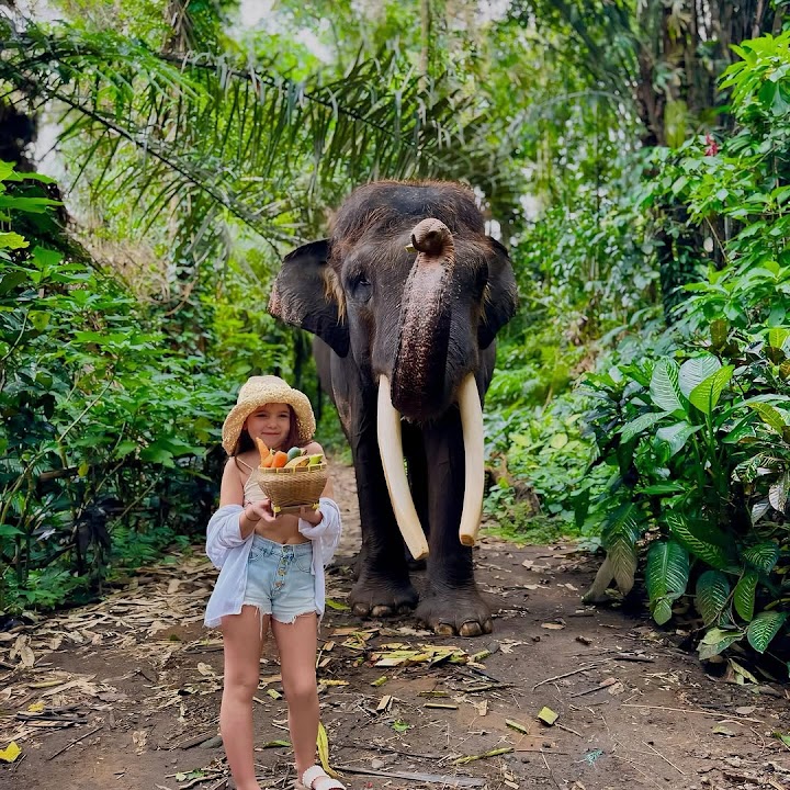 Mason Elephant Park & Lodge