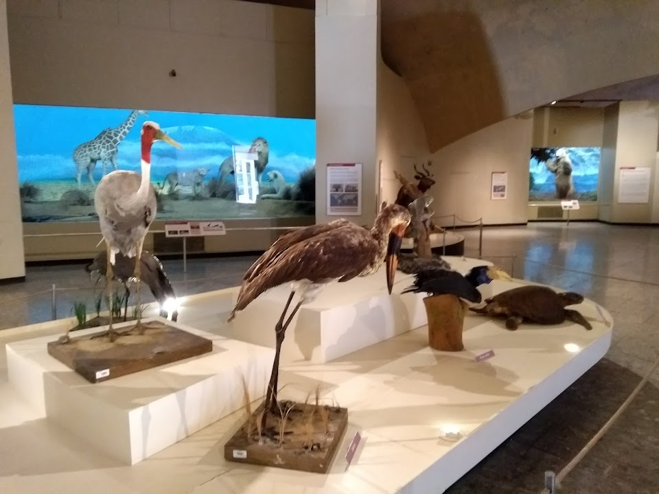 Museo de Historia Natural