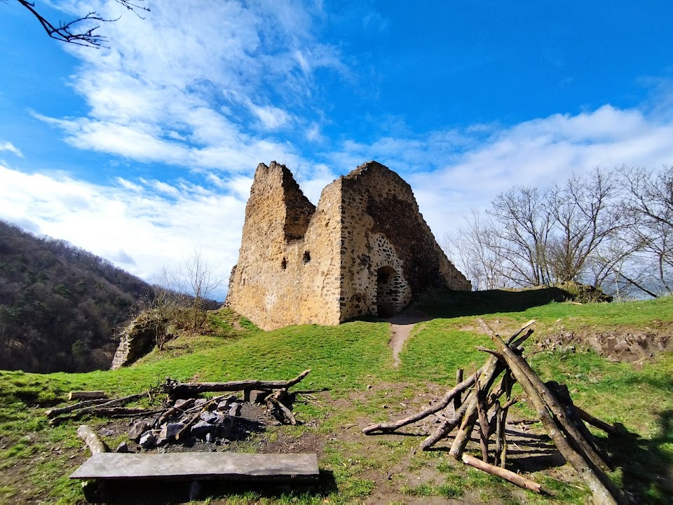 Castle ruins Týřov