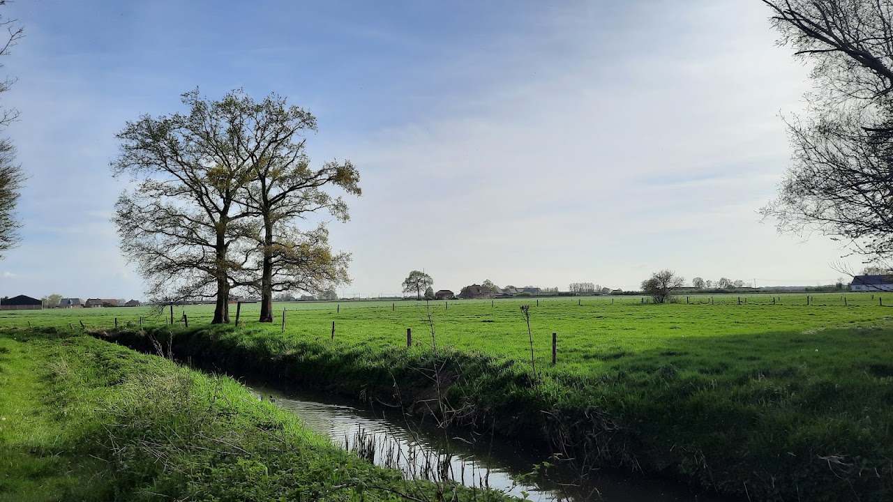 Het Kraaiveldbos