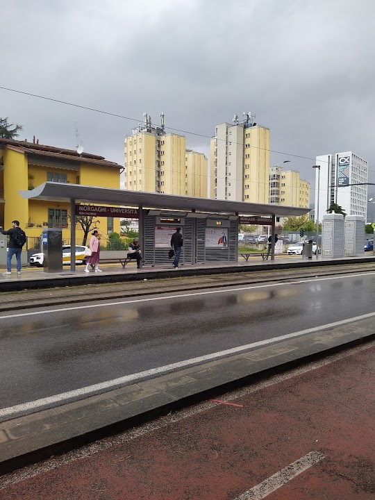 Morgagni - Università