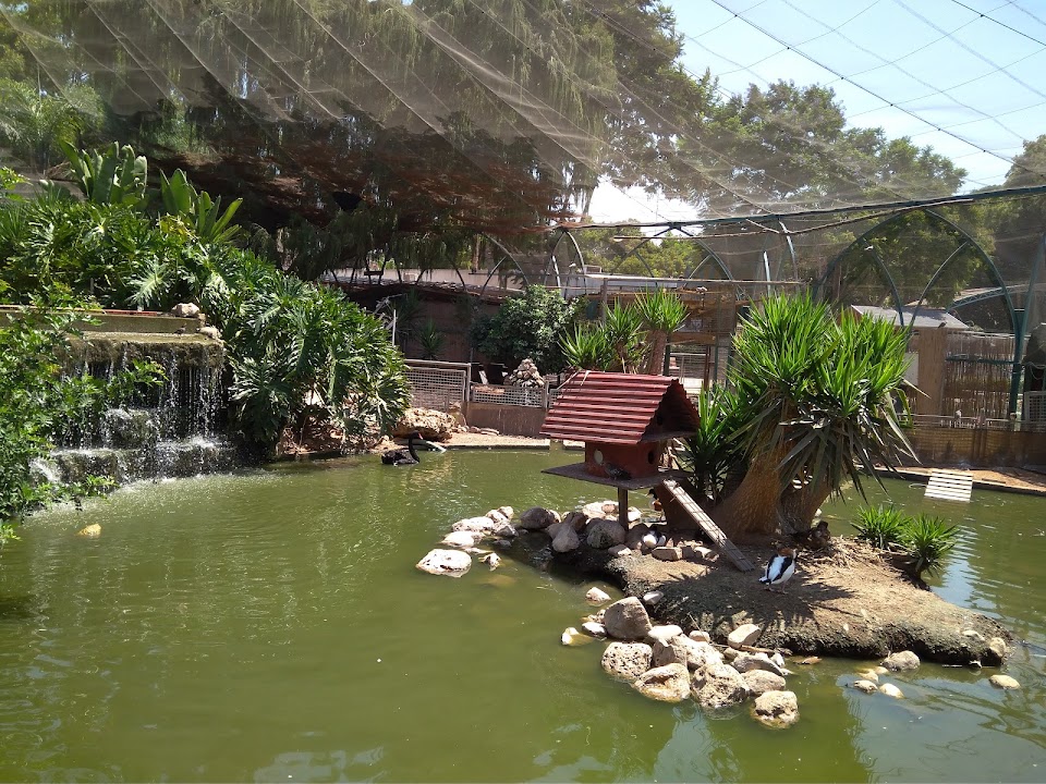 Petah Tikva Zoo