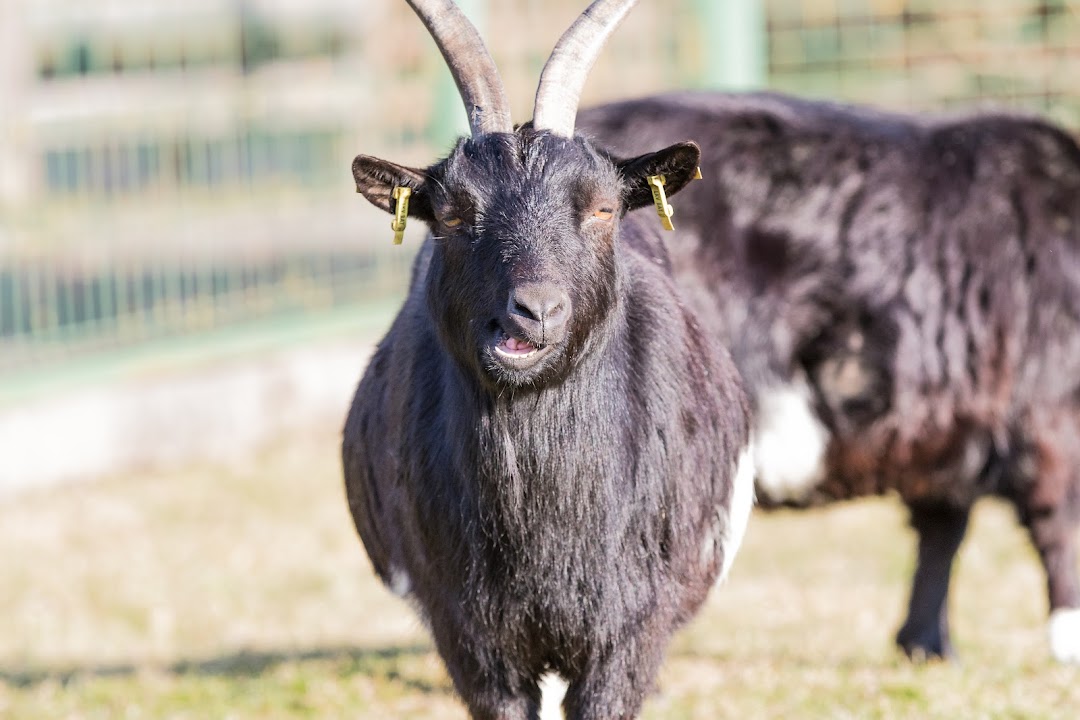 Reit- und Wildpark Weil