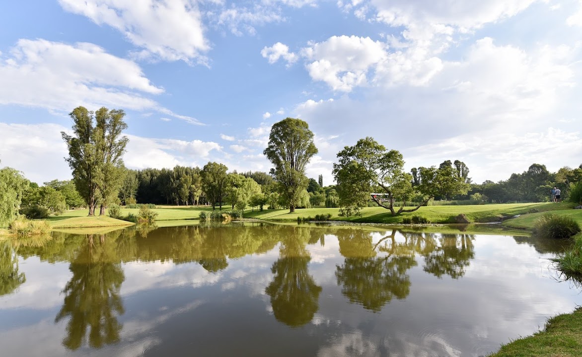 NIROX Sculpture Park