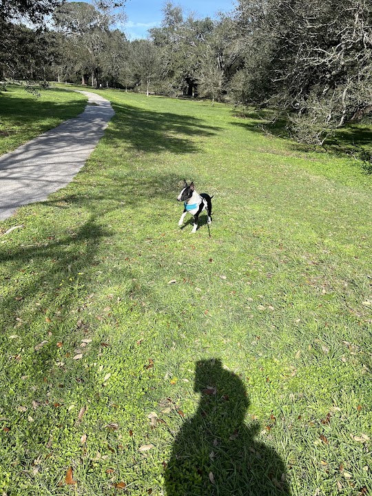 Wisner Tract Park