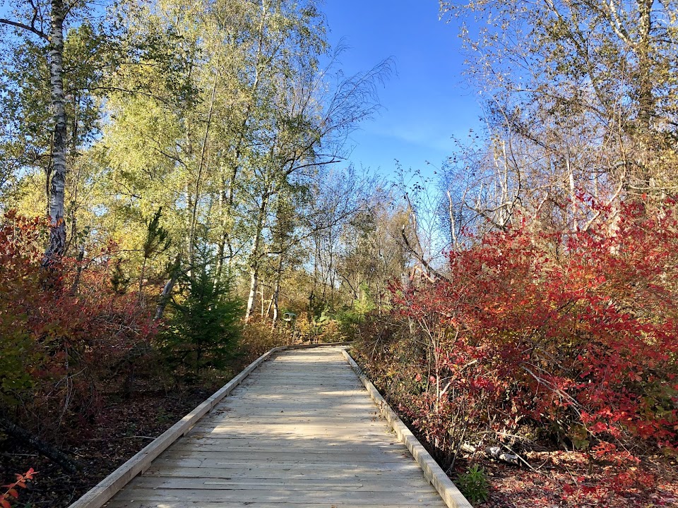 Richmond Nature Park