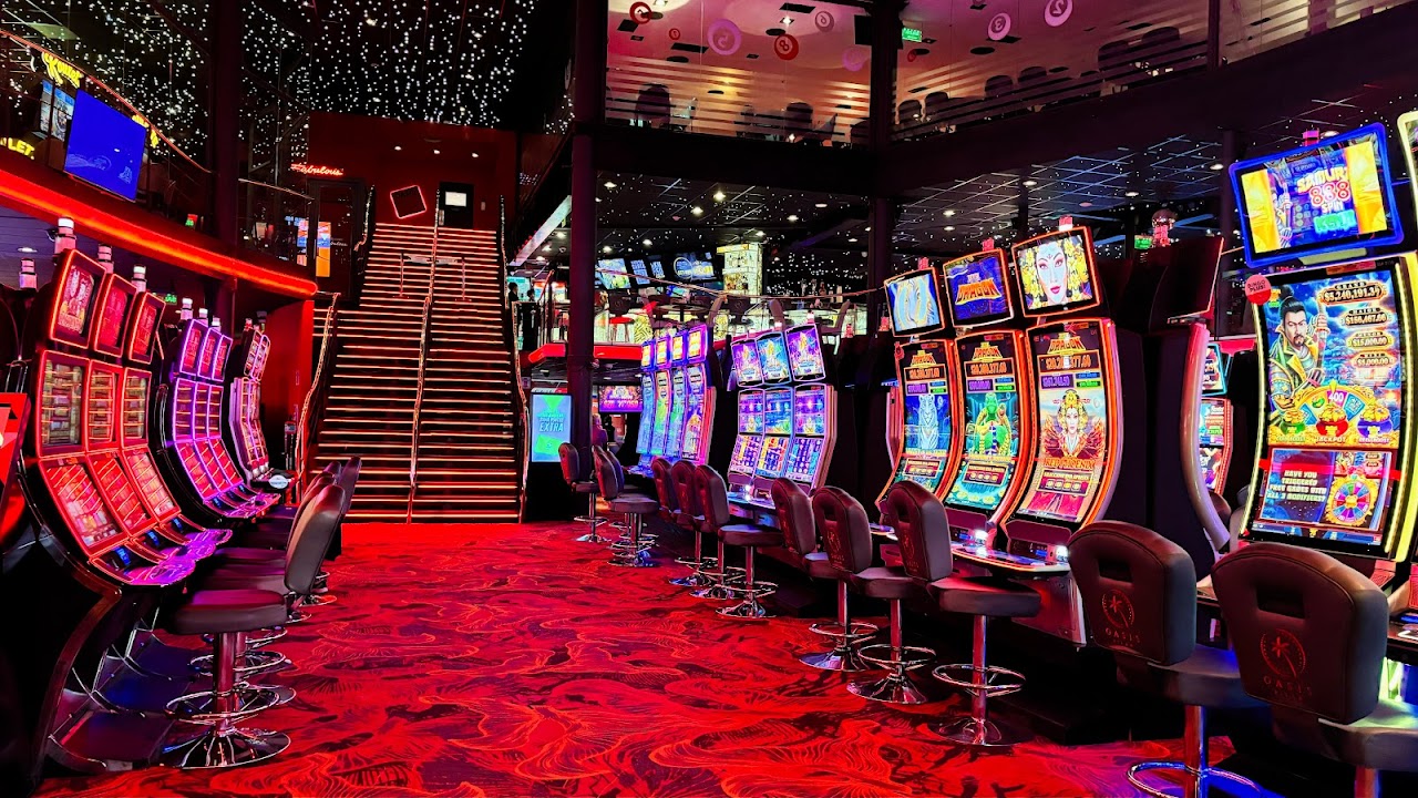 Bingo Oasis Pilar