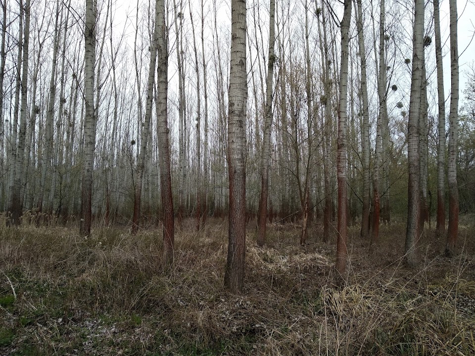 CHA Pečniansky Forest Reserve