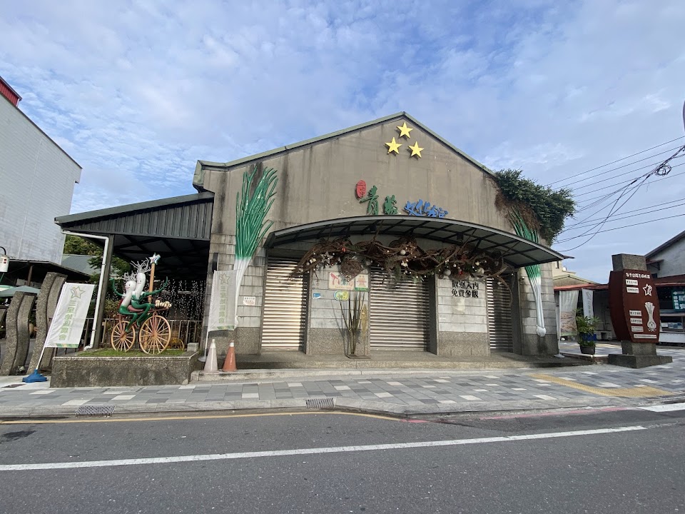 Sunshin Green Onion Culture