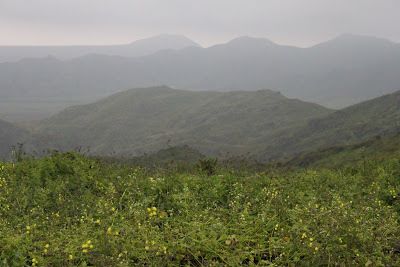 ACR Lomas de Ancón