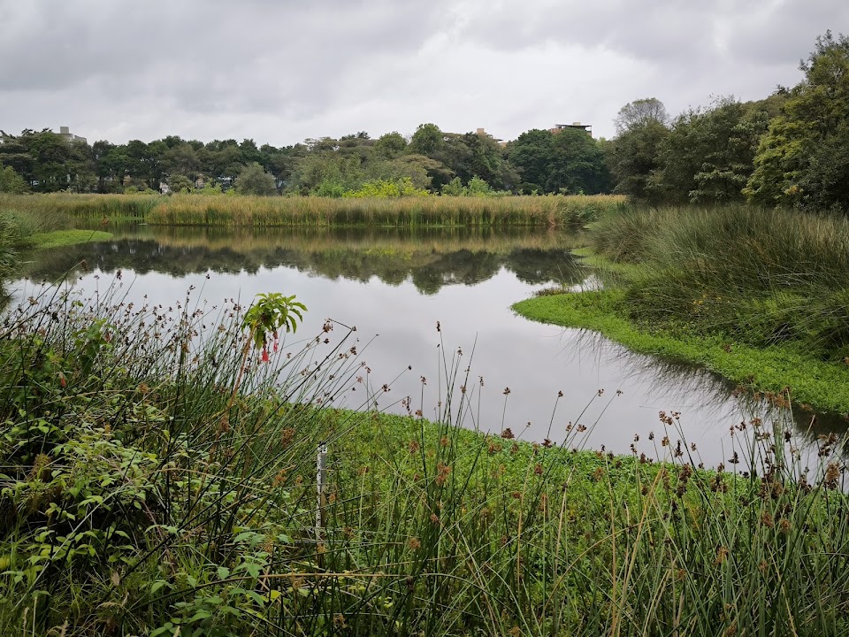 Santa María del Lago