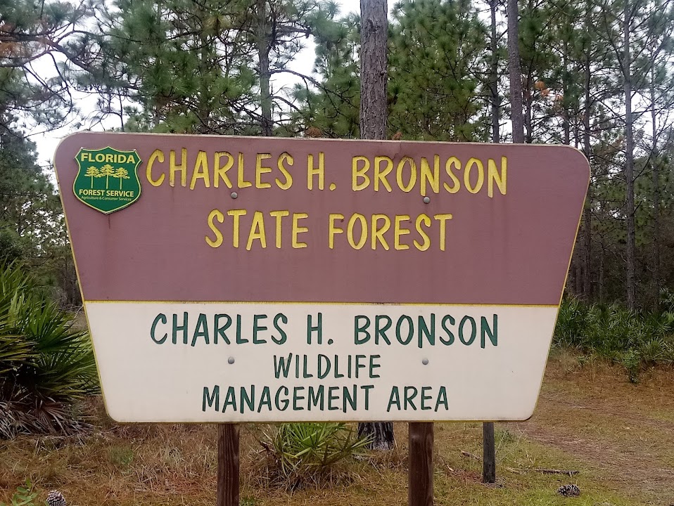 Charles H. Bronson Wildlife Management Area