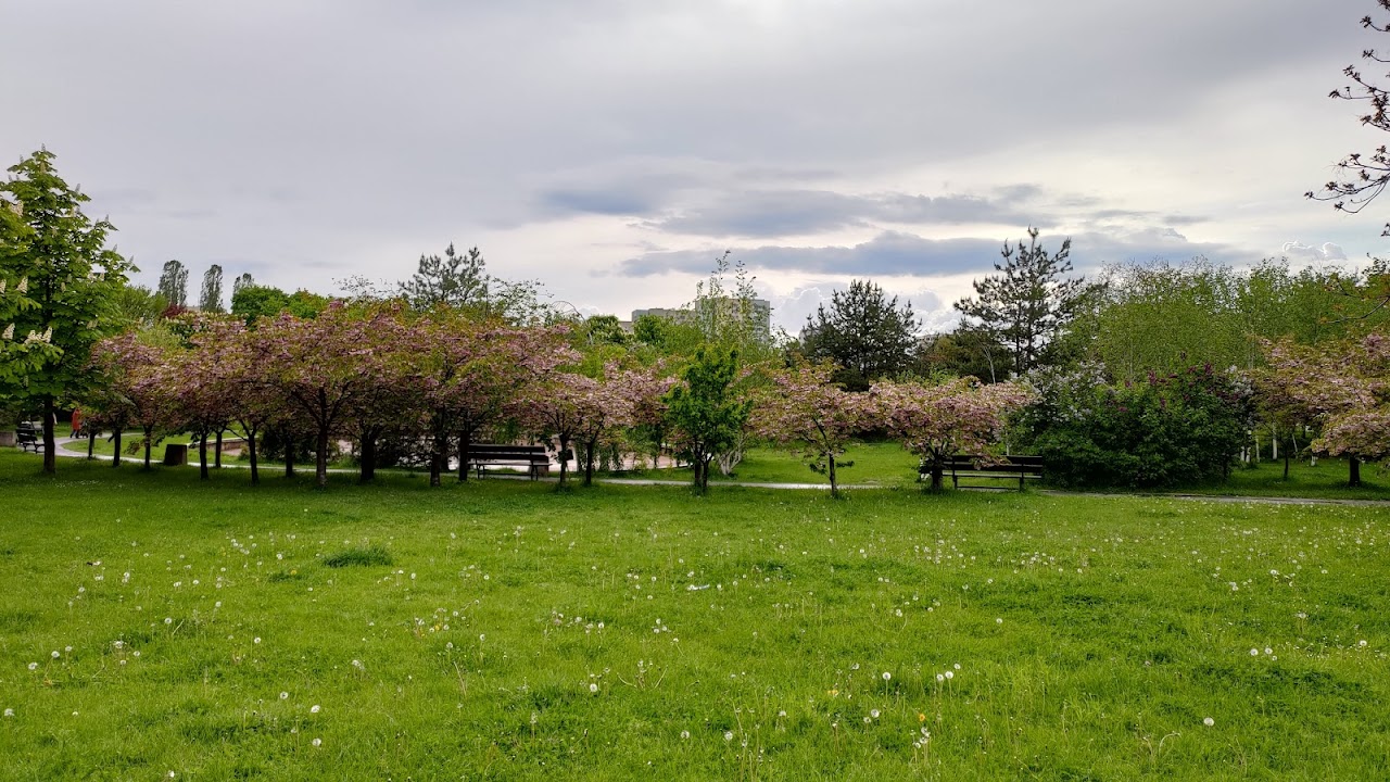 Bródnowski Park