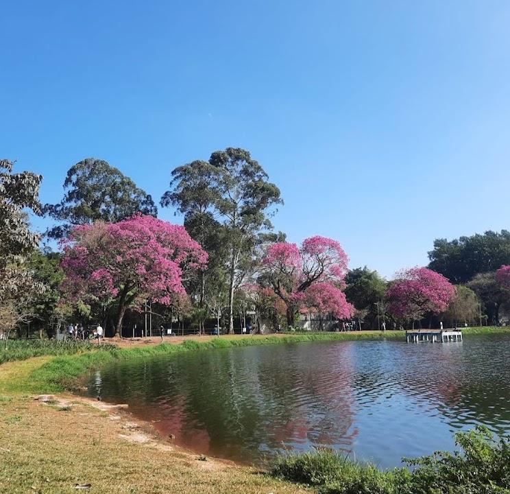 Parque Ibirapuera - Portões 1 and 2