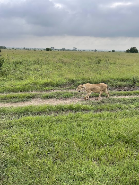 Nairobi National Park Marker