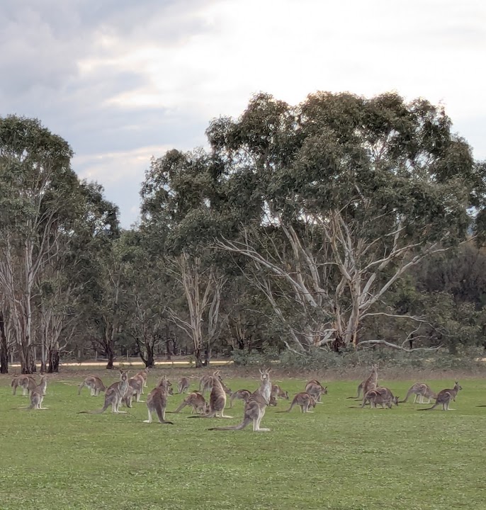 Woodlands Historic Park (Parks Victoria)