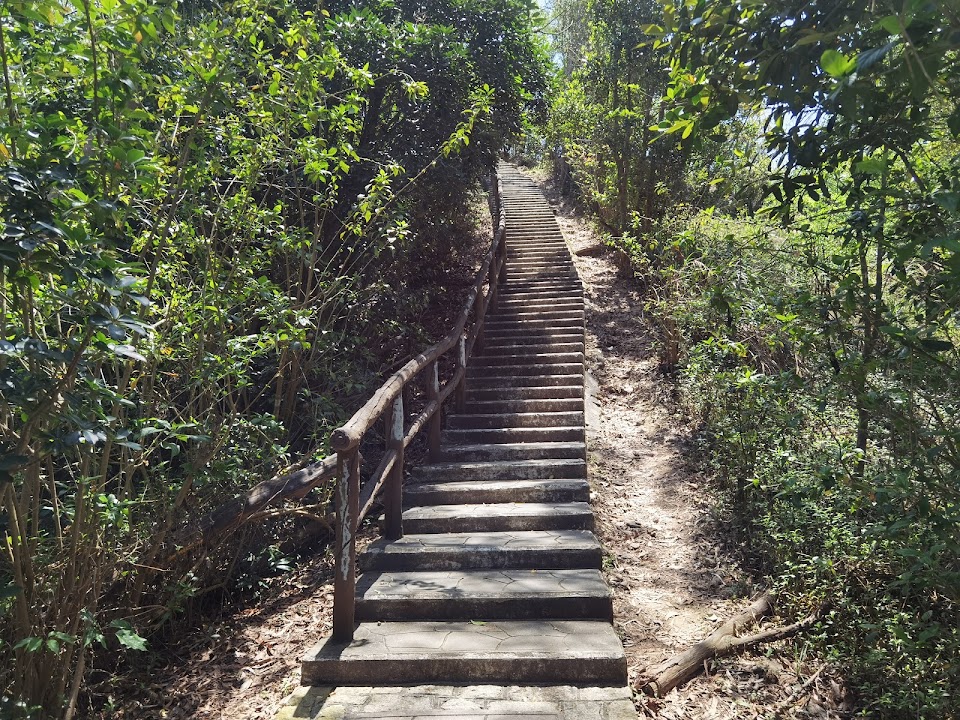 Tsing Yi Nature Trails