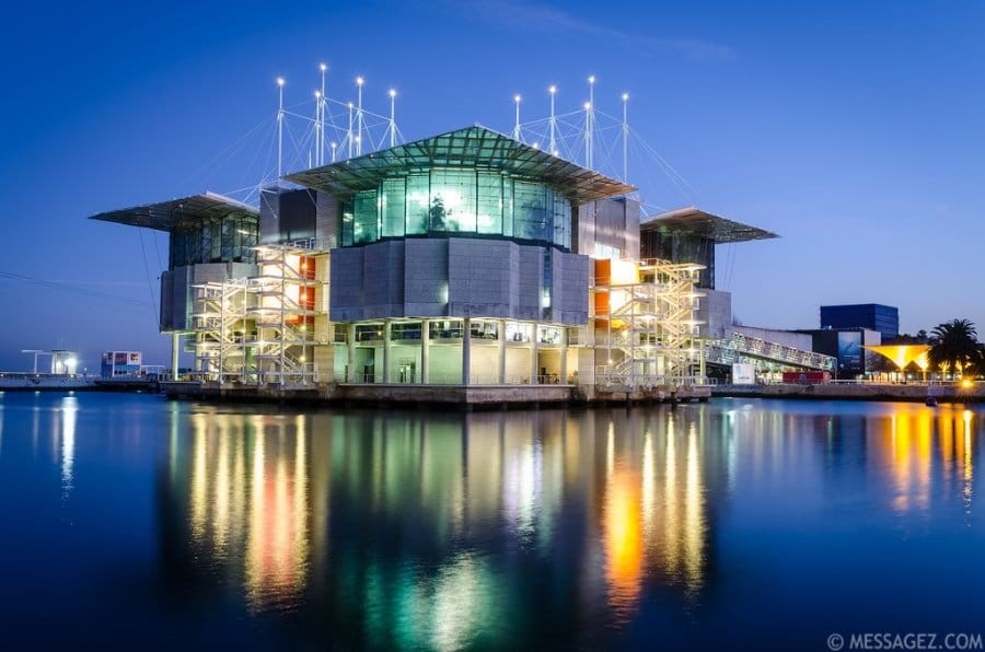 Lisbon Oceanarium