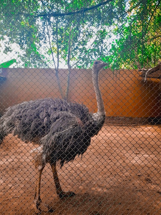 Bird Park (Water World)