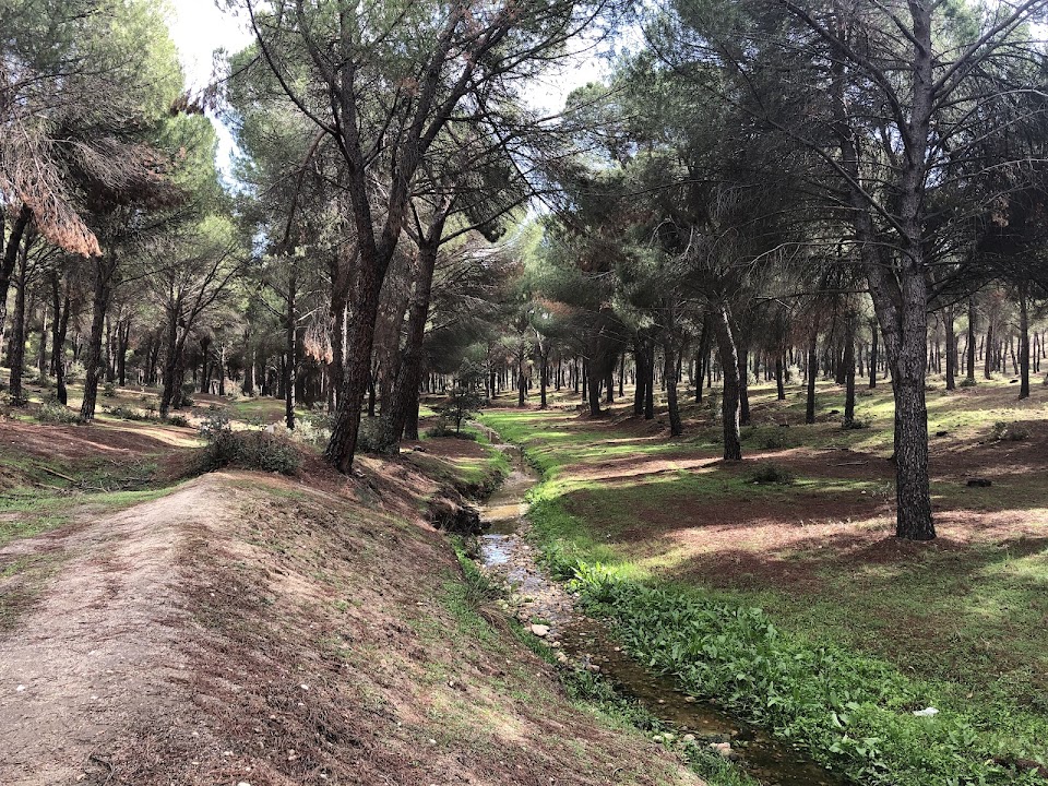 El Pinar de Navalcarnero