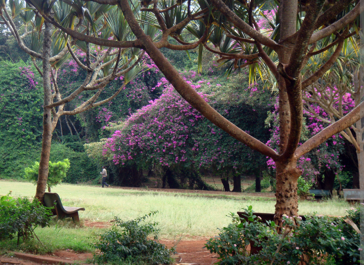 City Park