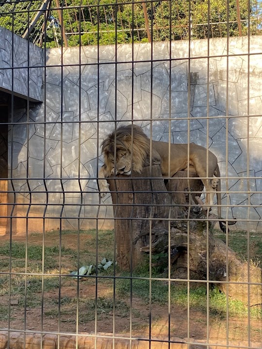 Guarulhos Municipal Zoo
