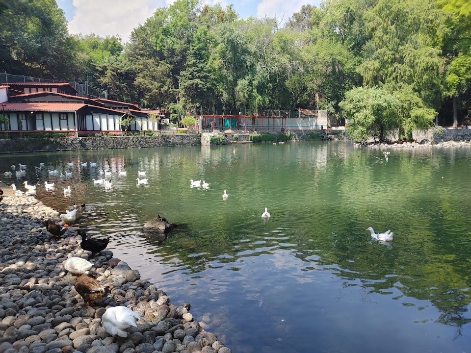 Fuentes Brotantes de Tlalpan National Park — Mexico City experience