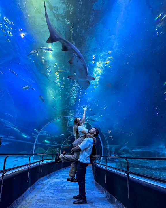AquaRio — Rio de Janeiro experience