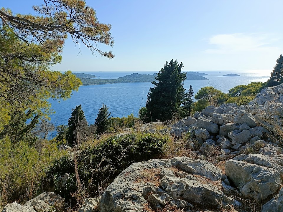 Kopara - nature