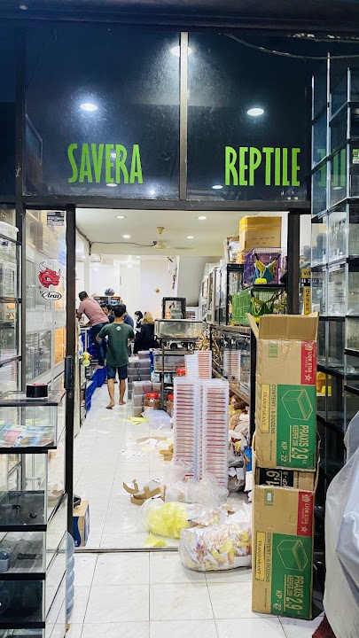 Savera Reptile
