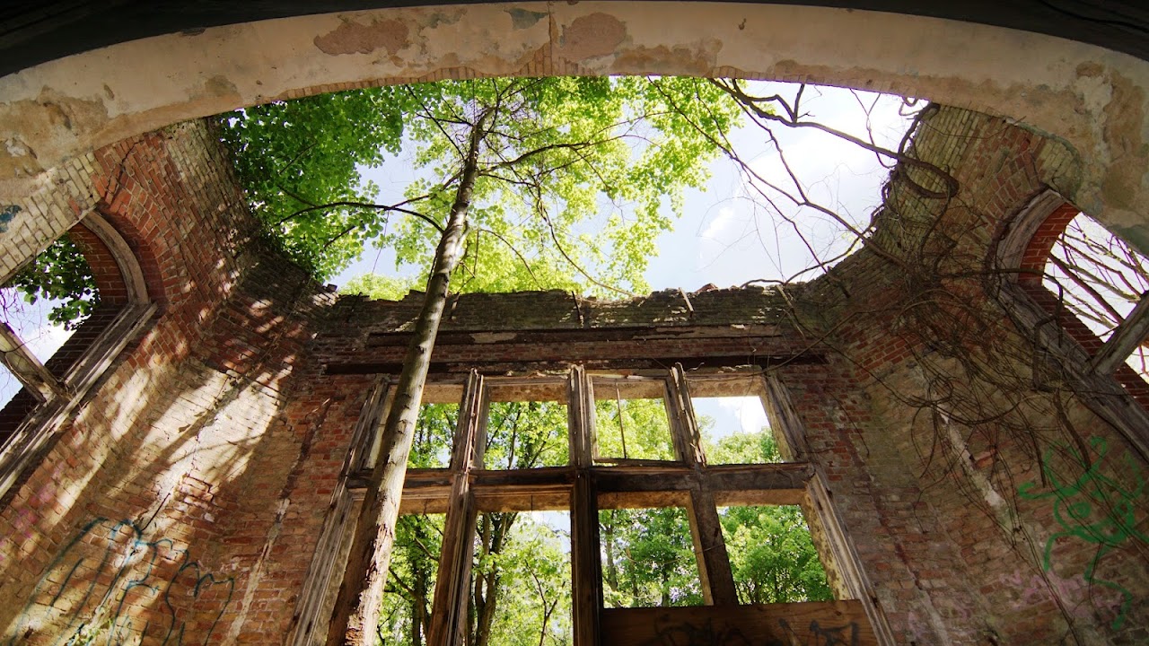 Baumkronenpfad Beelitz Tree & Time
