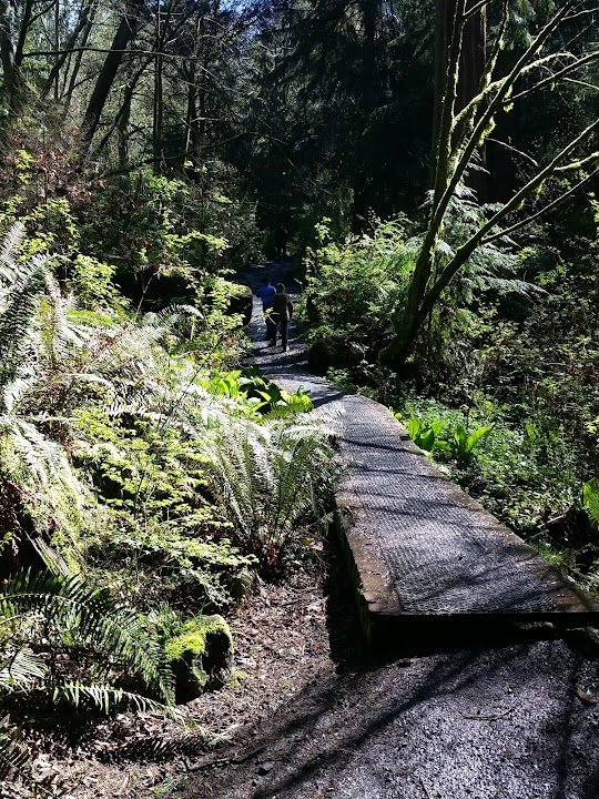 Schmitz Preserve Park