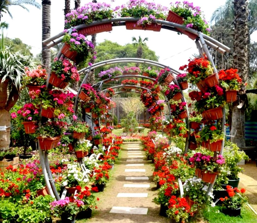 Orman Garden