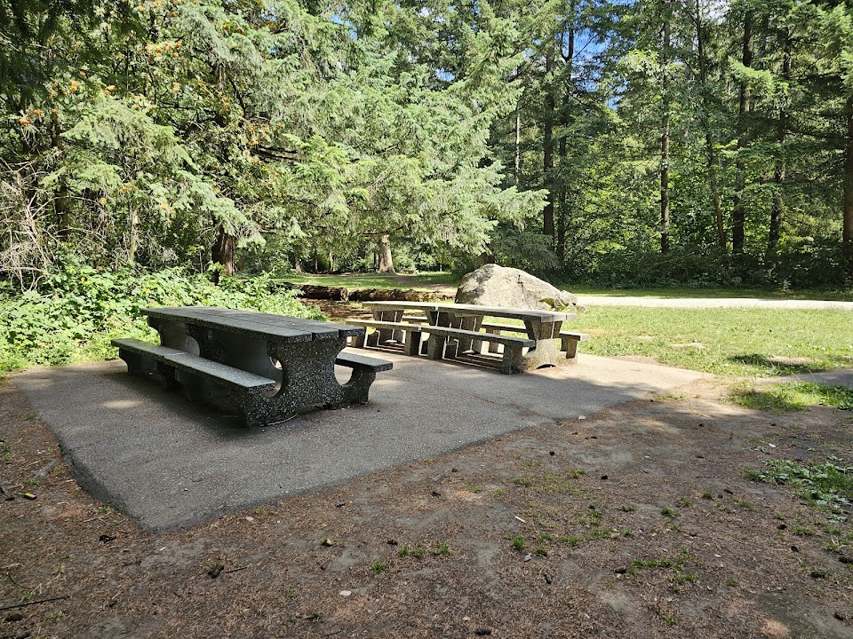 Central Park Picnic Areas