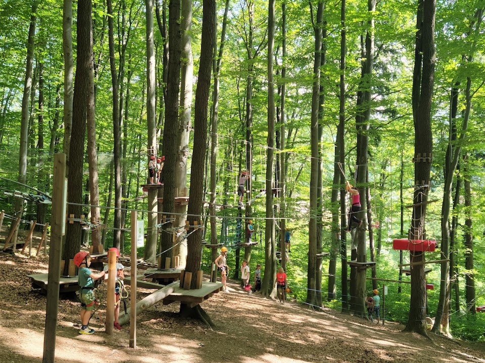 Kletterpark Purkersdorf