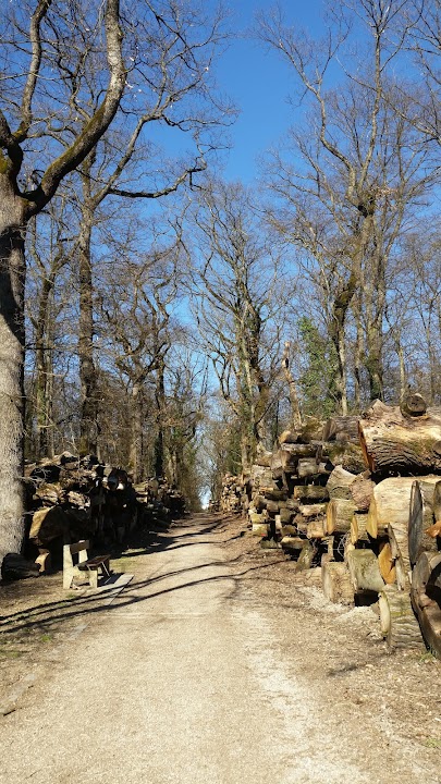 Bois des Frères