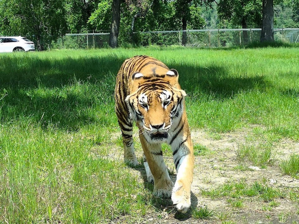 Pombia Safari Park