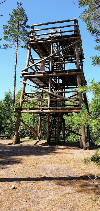 Pääsküla Bog Viewing Tower
