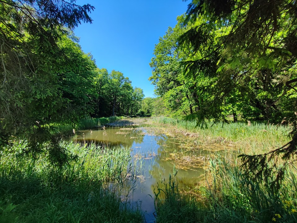 Radziszów Las - Szlaban