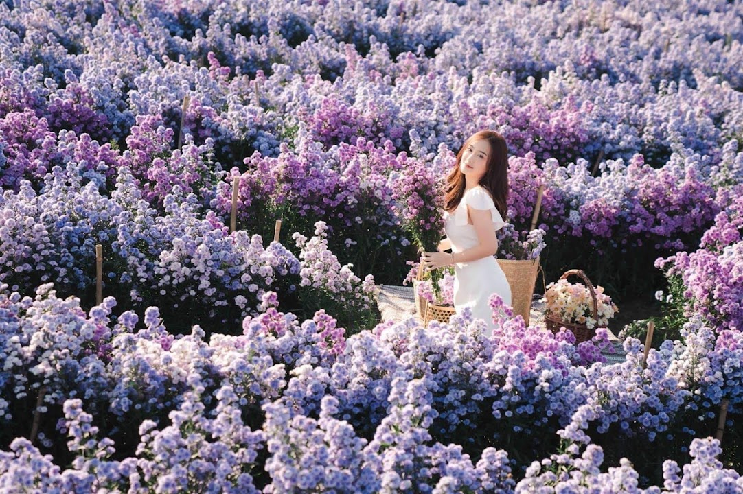 Aunty Nok Aeang Flower Farm